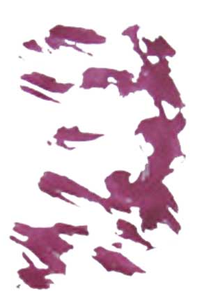 Ink on paper  Michel Nau