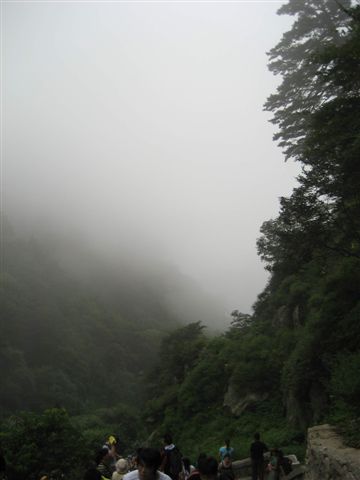 Michel Nau: Tai Shan  Michel Nau