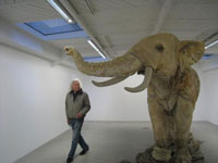 Michel  Nau à Caverne  Galerie Kamel Mennour Paris 2009