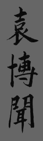 Yuan Bowen